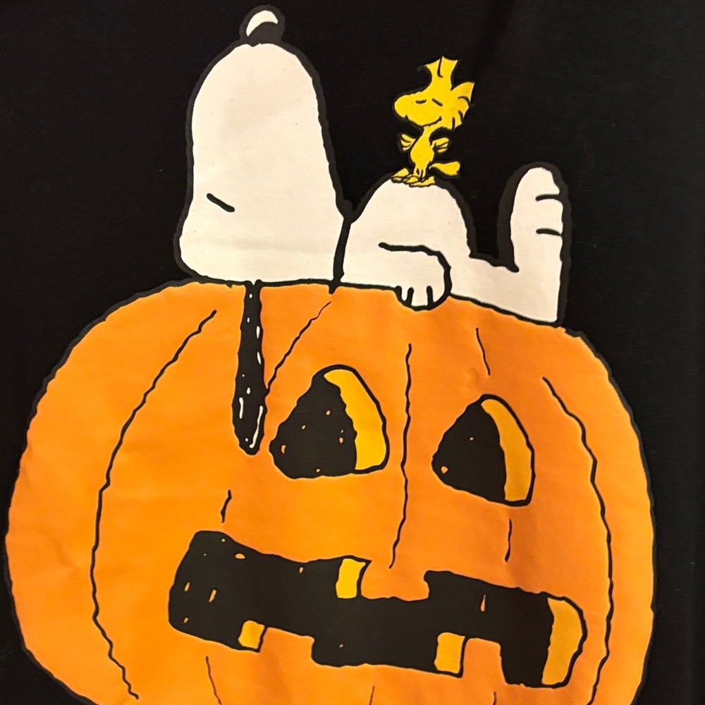 Peanuts Black Sweatshirt with Snoopy and Pumpkin 1x bnwt - Picture 5 of 6